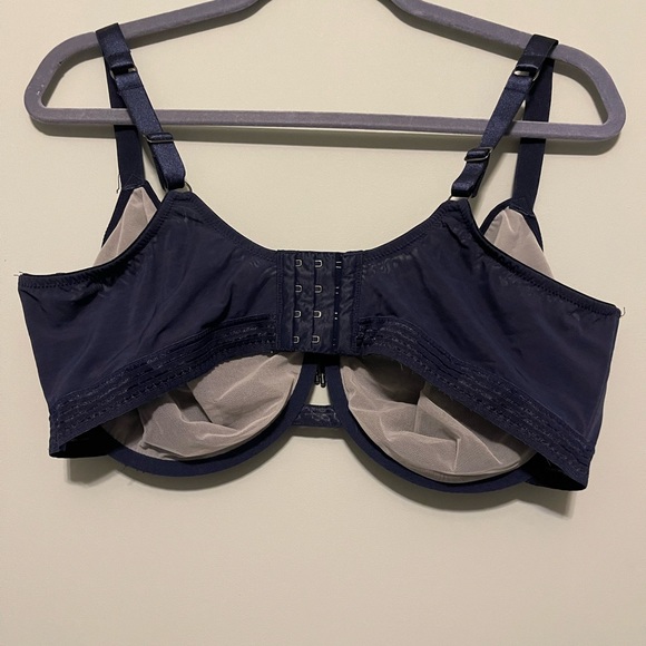 Ashley Graham bra - Picture 10 of 12